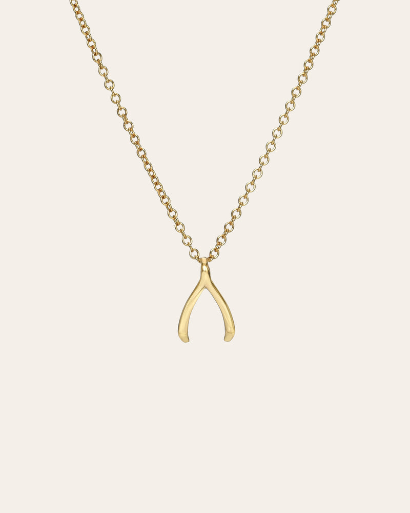 Kids 14k Gold Mini Wishbone Necklace