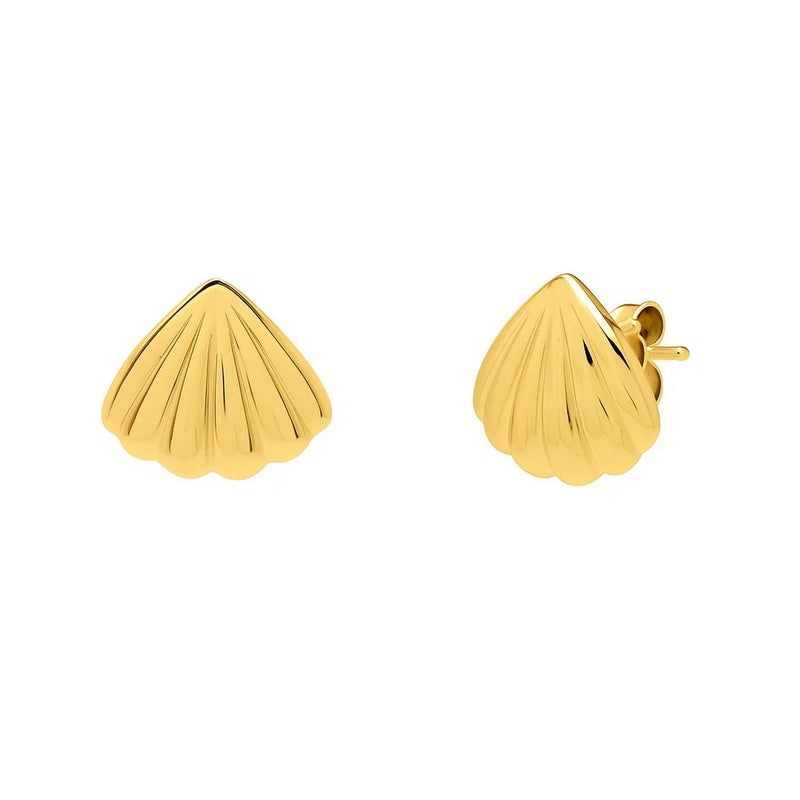 Sea Shell Stud Earrings in 10K Yellow Gold